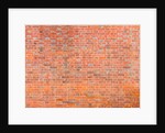 Brickwall by Assaf Frank